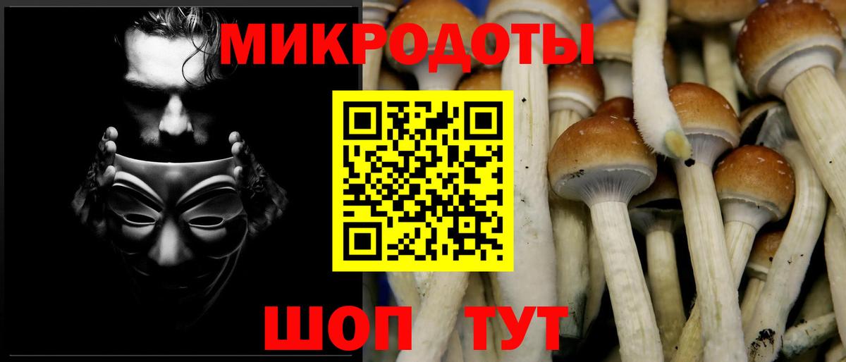 Галлюциногенные грибы ЛСД Мирный